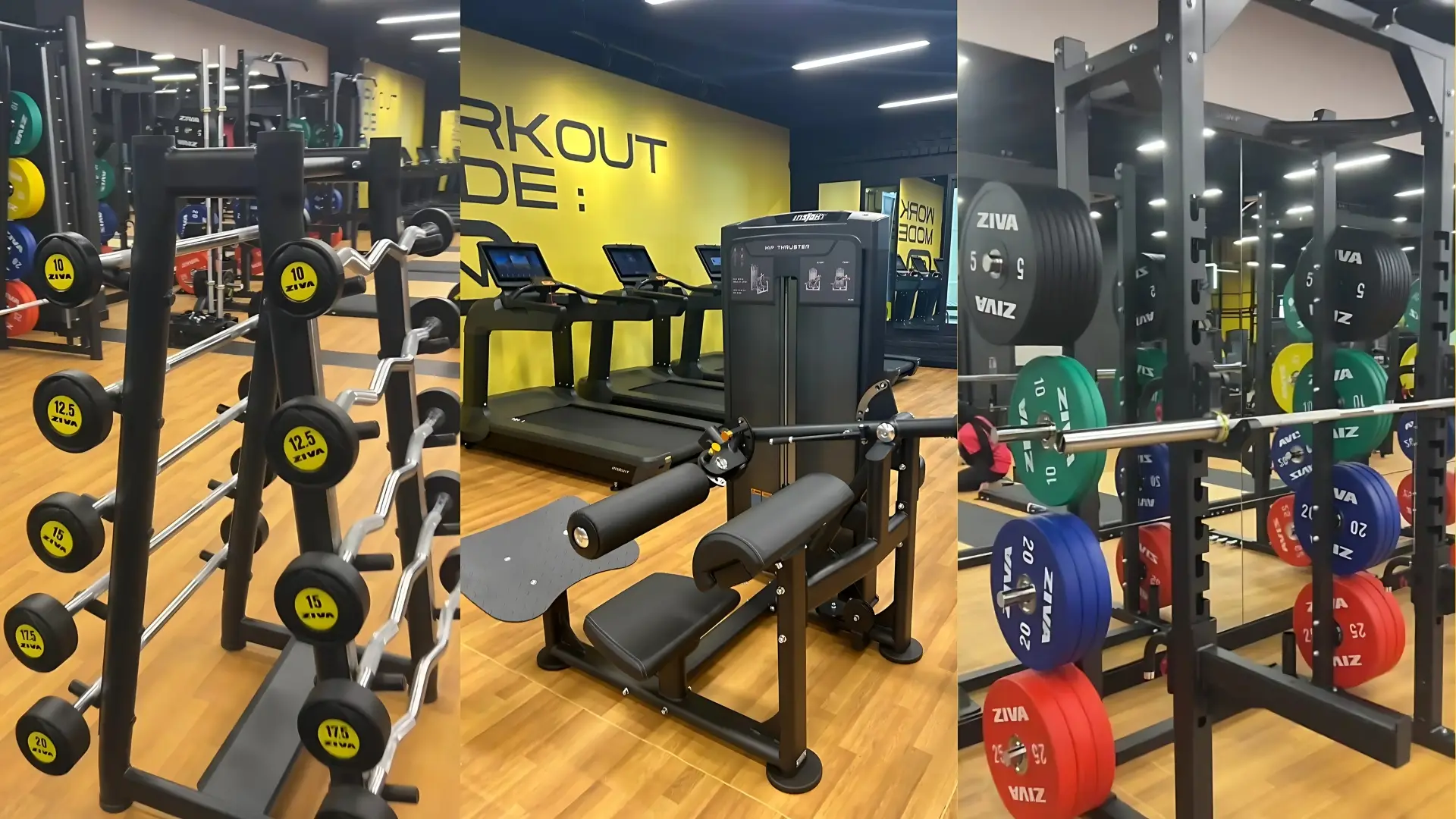 A Guide to Gym Etiquette in Malaysia, Singapore & Indonesia